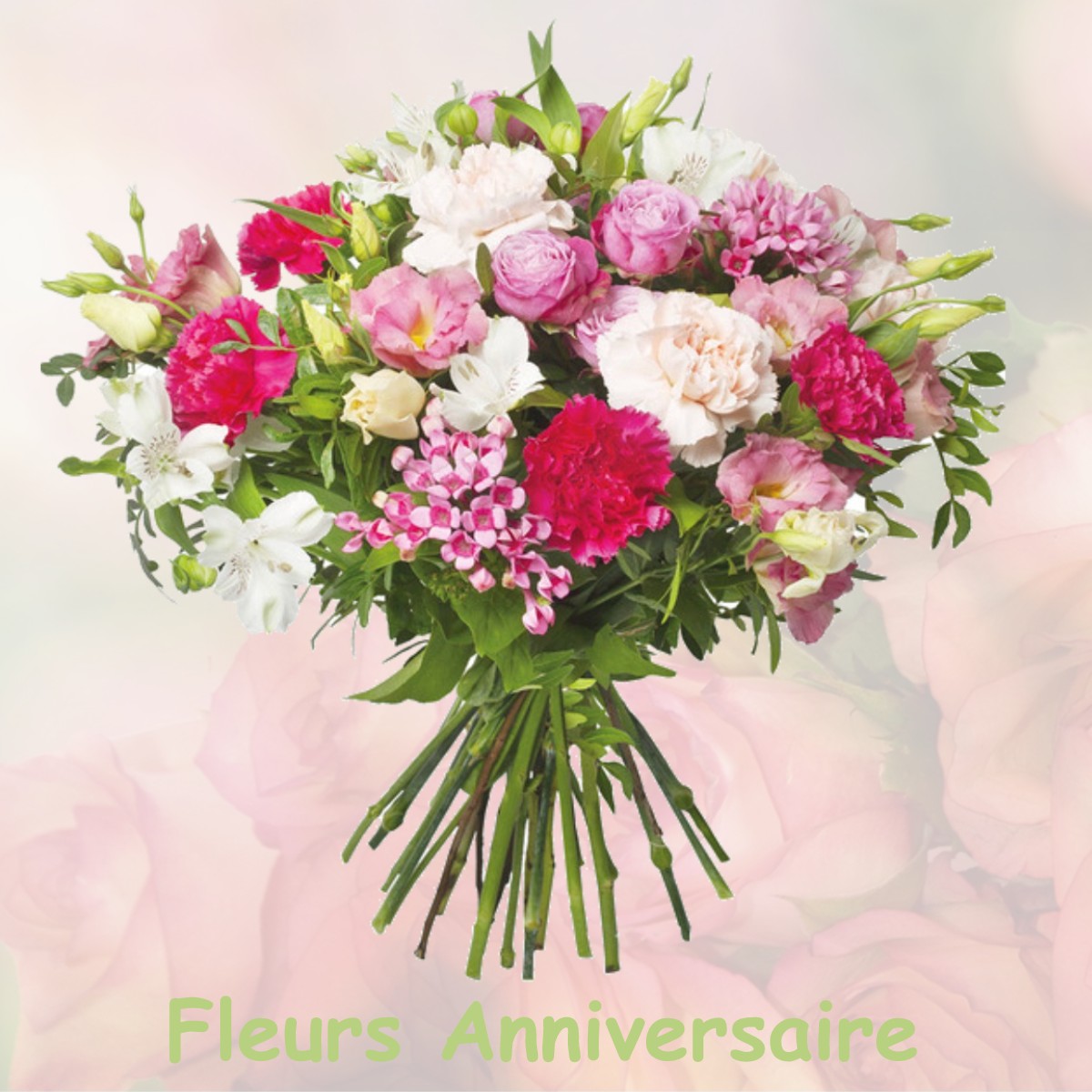 fleurs anniversaire VILLENEUVE-SUR-FERE